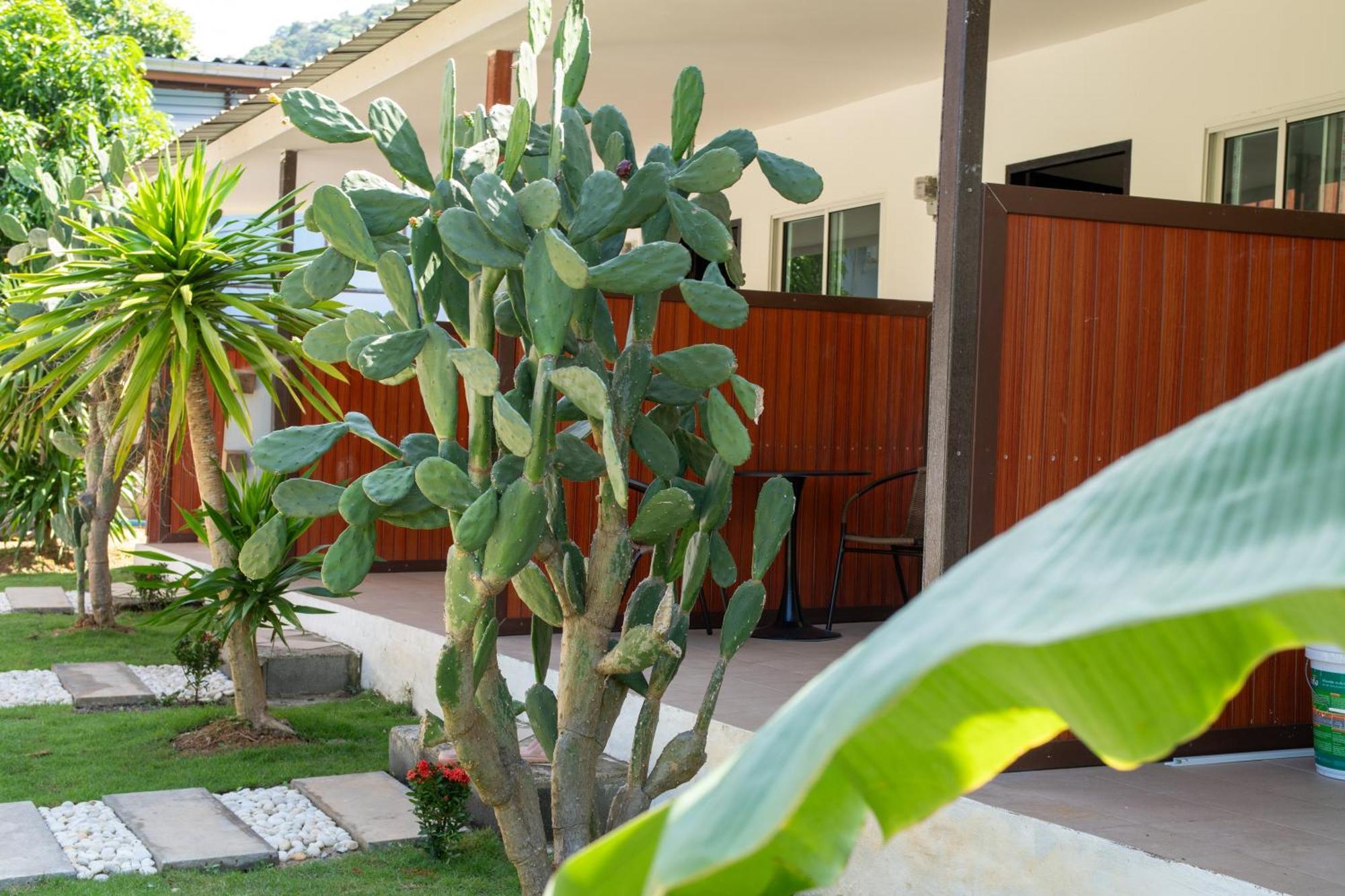 Chill Out Resort Ko Lanta Dış mekan fotoğraf